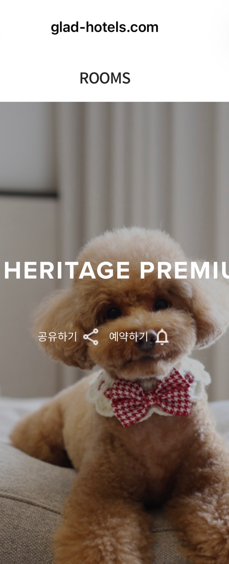 메종글래드 제주 (펫 프렌들리 룸) 대표 사진