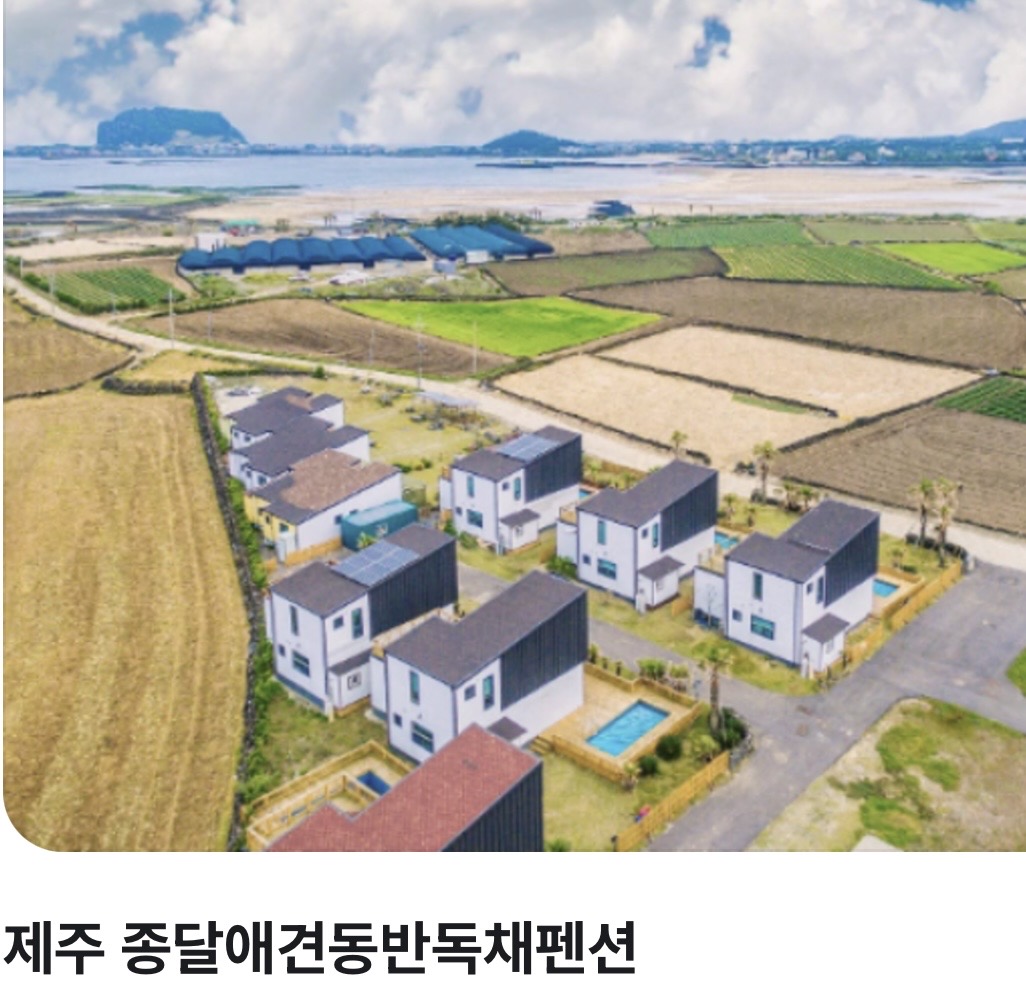 제주 종달애견동반독채펜션 대표 사진