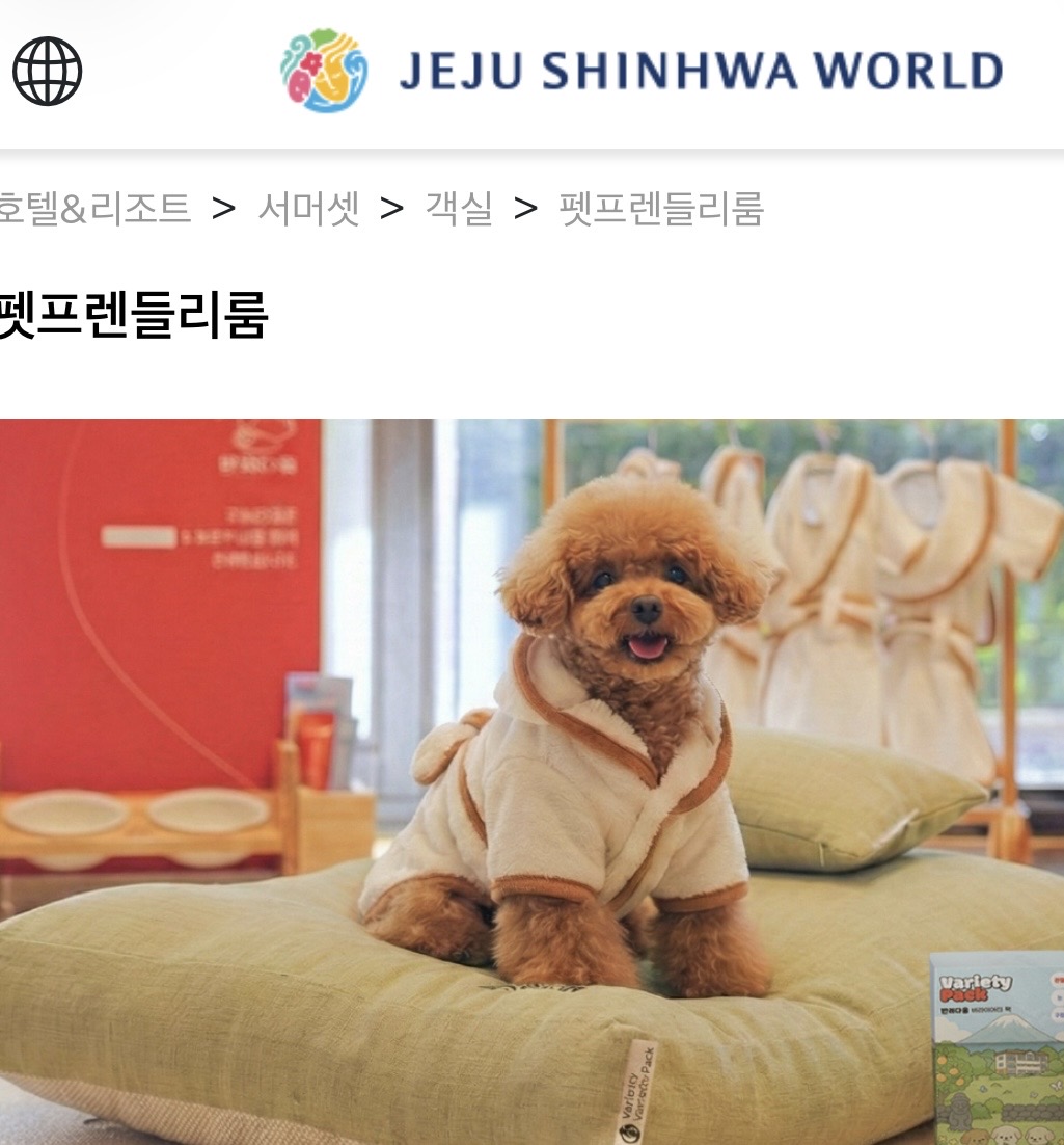 서머셋 제주신화월드 펫프렌들리룸 대표 사진