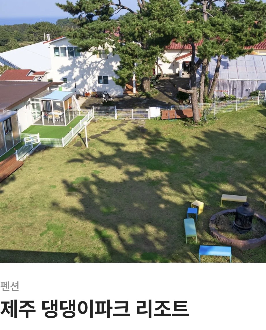 제주 댕댕이파크 리조트 대표 사진